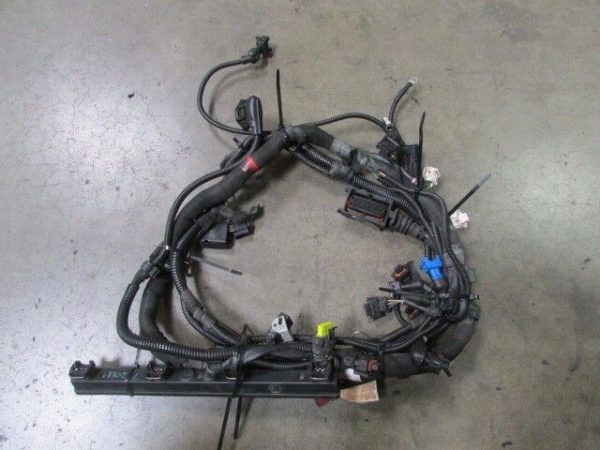 Ferrari 360, Spider, LH, Left Side Engine Injection Wire Harness, Used 179168