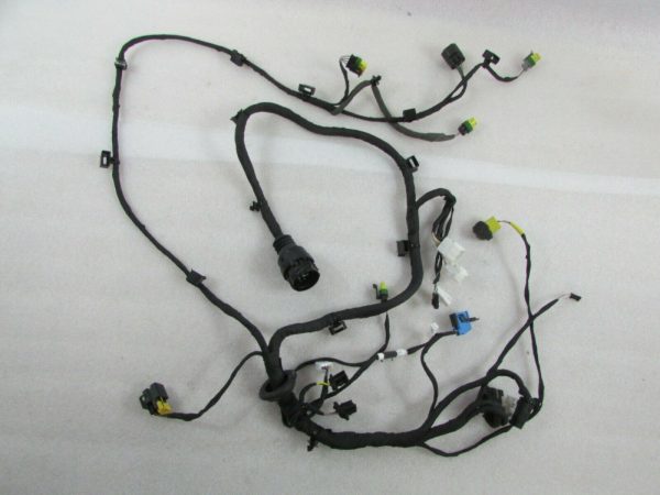 Ferrari California T, LH, Left Door Body Wire, Used, P/N 308964