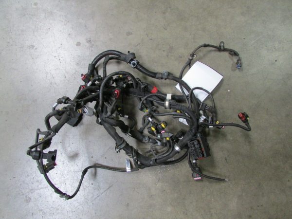 Maserati Granturismo, Quattroporte, Engine Injection Wire Harness, Used, 245268